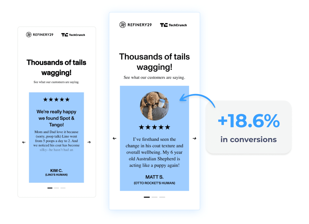 Persuasion in Pictures: How Visual Social Proof Drives Conversions